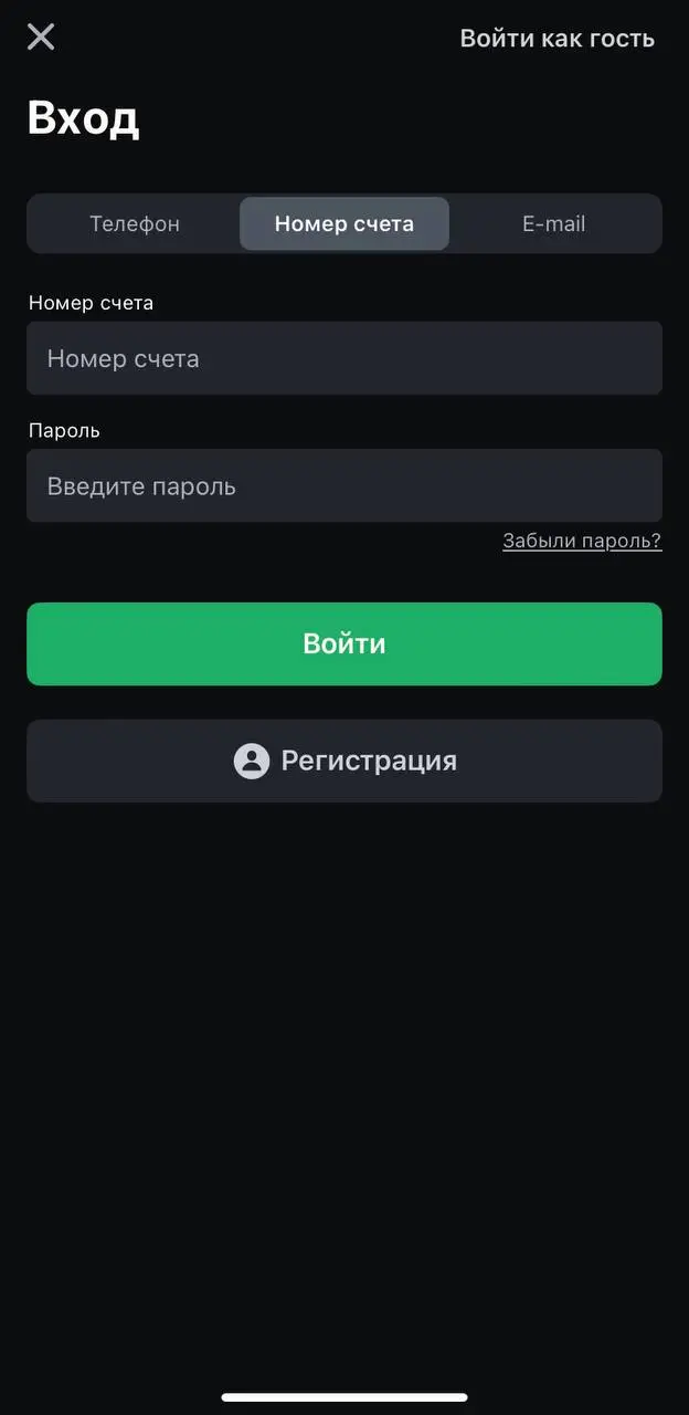 Окно авторизации «Леон» на iOS