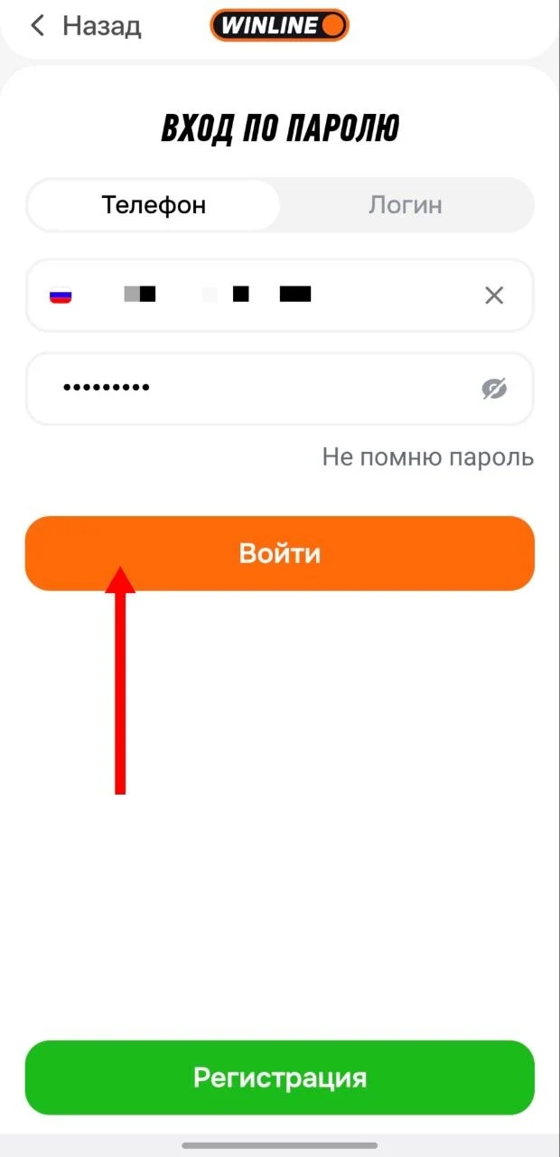 Окно для ввода данных для авторизации