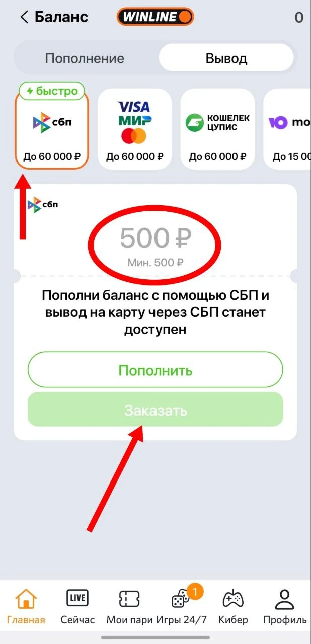 Окно для заказа вывода денежных средств