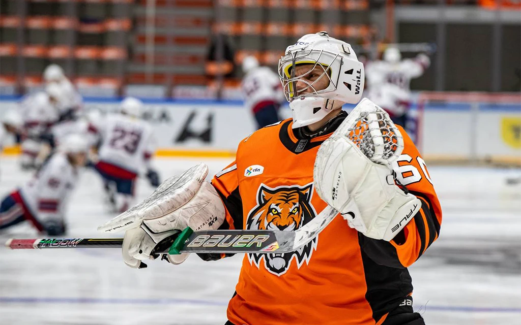 Амур - Нефтехимик, ХК Амур.webp