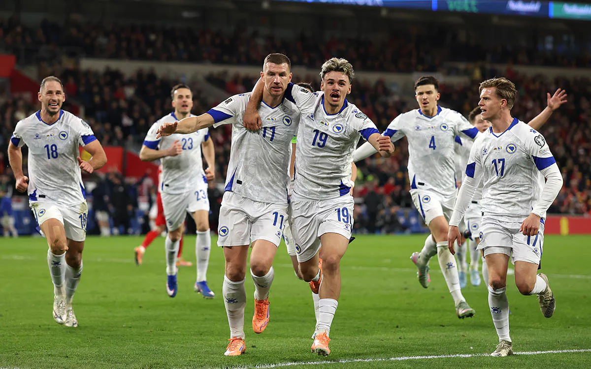 Сборная Боснии и Герцеговины