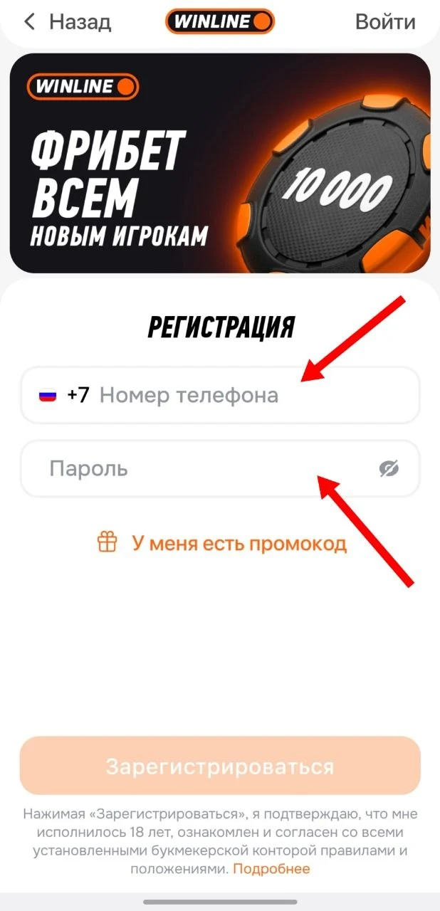 Окно регистрации