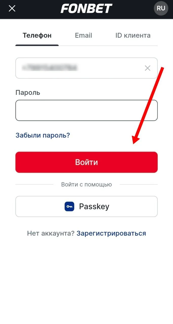 Окно ввода данных для входа