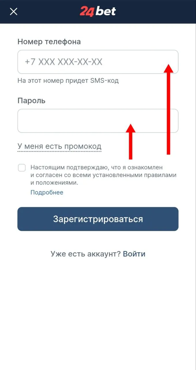Поле ввода номера мобильного и пароля